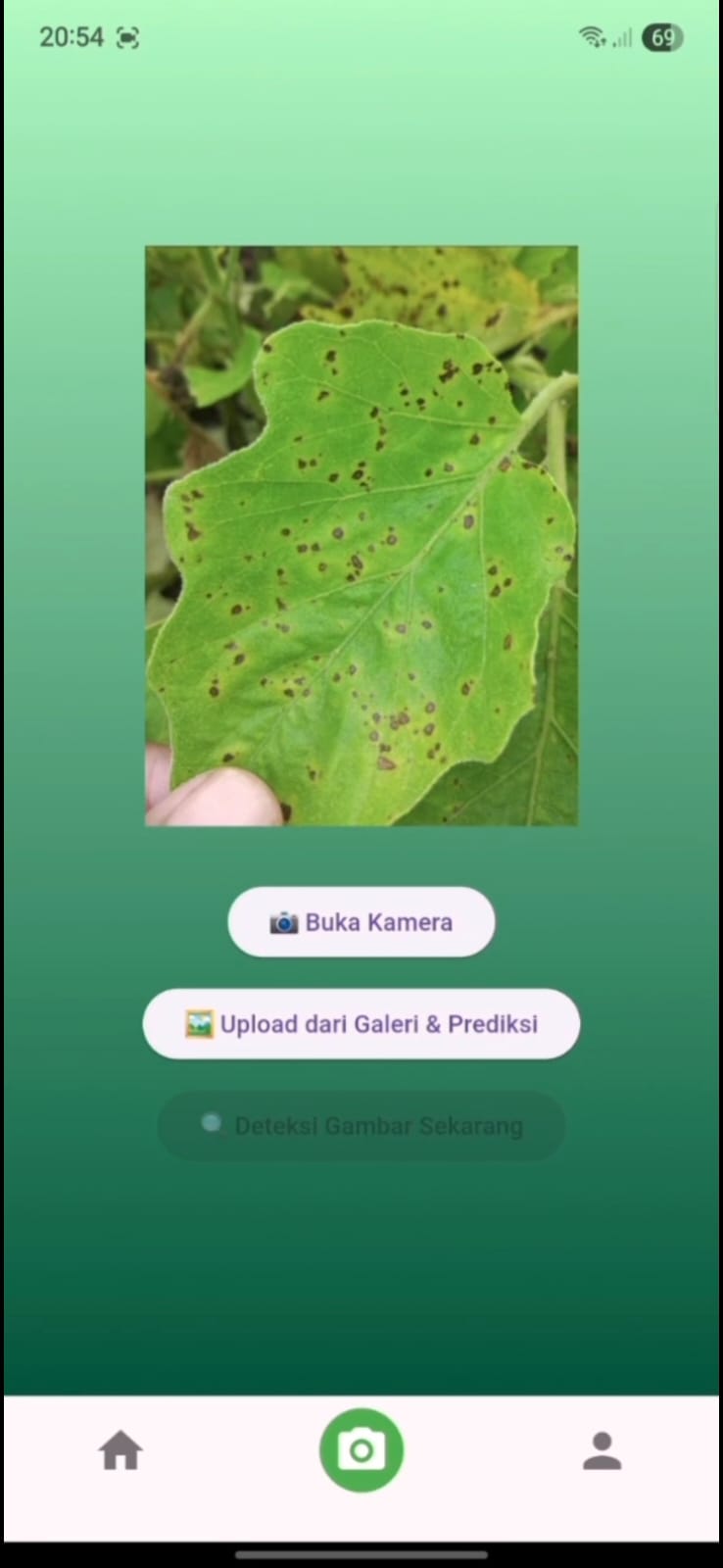 LeafSpark — Process & Architecture